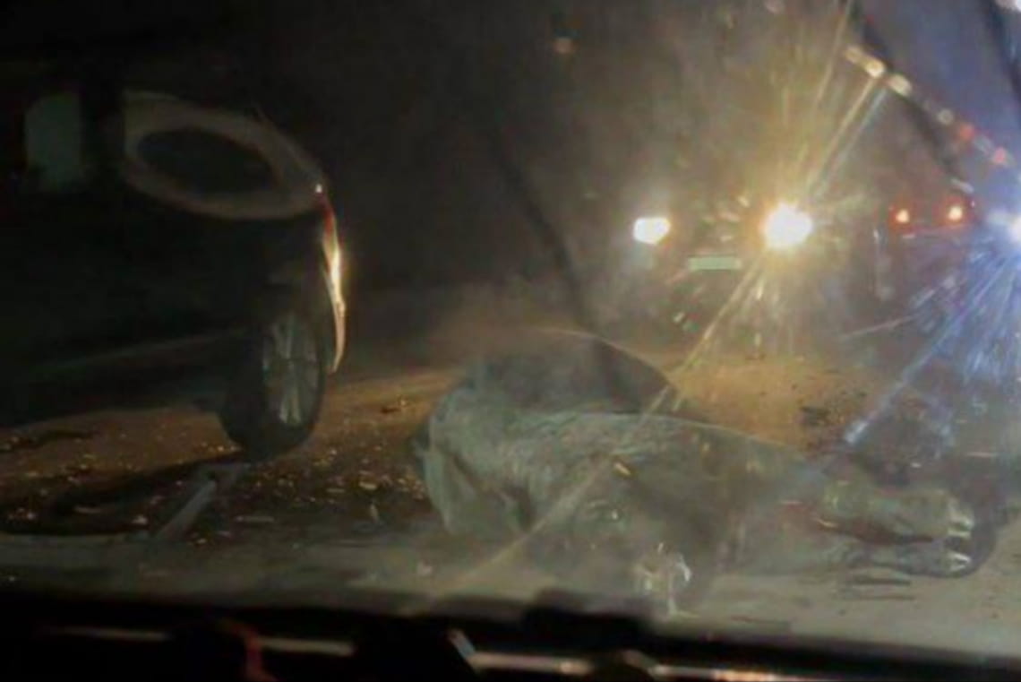 У Житомирській області автомобілі наїхали на свійських биків, що вибігли на дорогу